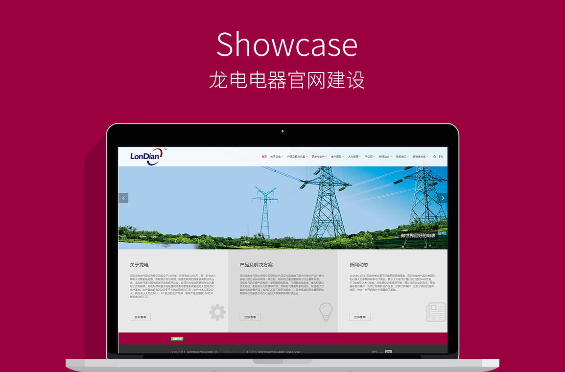 龍電電器官網(wǎng)網(wǎng)站建設圖